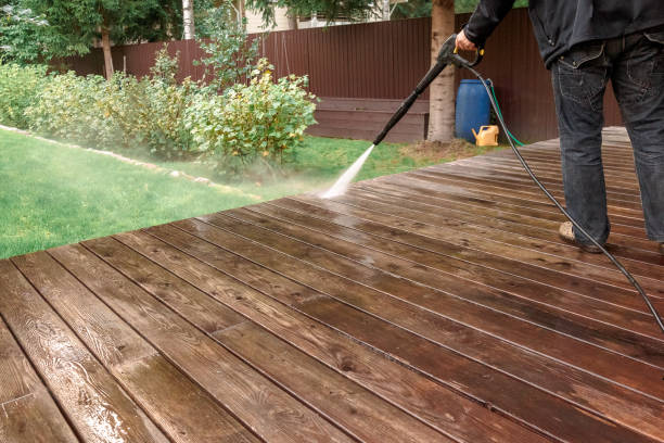 Best Pre-Holiday Cleaning  in Littlerock, CA